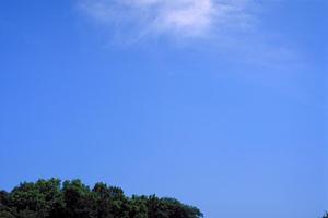 静岡市清水区の信頼と実績の葬儀会場｜富士葬祭 双樹の特徴とご利用ポイント