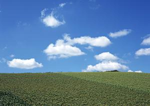 静岡市駿河区の家族葬専門斎場｜家族葬のタクセル西中原の特徴と利用メリット