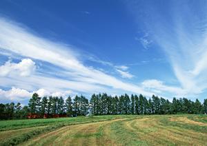 静岡県藤枝市の家族葬や一般葬に最適な葬儀場 ? 富士葬祭藤枝の特徴とサービス内容