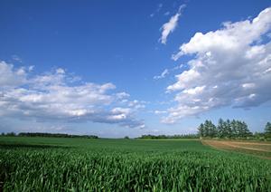 静岡市駿河区における信頼の葬儀サービス｜富士葬祭 みずほの特徴と安心のサポート