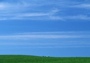 静岡市に新登場！家族葬のタクセル新伝馬｜低価格・安心の家族葬専門斎場の詳細情報と利点