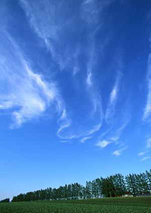 磐田市大原にある家族葬・小規模葬儀の専門会場｜富士葬祭 大原の特徴とアクセス情報
