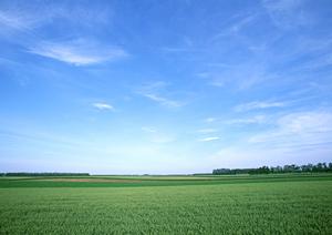 静岡県菊川市にある高級感あふれる家族葬・一般葬が可能な富士葬祭 菊川の葬儀サービスと特徴のご紹介