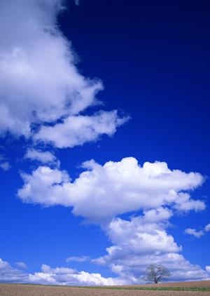 静岡県焼津市の信頼できる葬儀場｜富士葬祭焼津の特徴とサービス内容