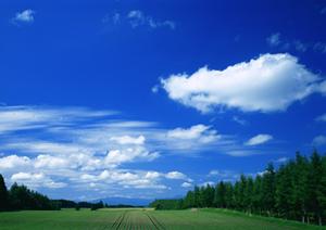 浜松市中央区にある富士葬祭 小豆餅：家族葬と小規模葬儀に特化した信頼の葬儀場