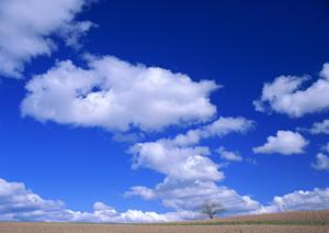 富士市松岡の家族葬・一般葬に対応した信頼の葬儀場【富士葬祭富士松岡】のご案内