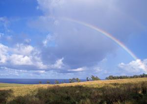 静岡市で安心の葬儀を提供する富士葬祭 静岡の特徴とサービス