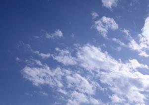 【403 Forbiddenエラー】原因と解決策を徹底解説 – ウェブサイト訪問者必見の対処法