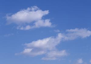 栃木県大田原市で信頼の葬儀サービスを提供する「さがみ典礼 大田原若松町」の魅力と特徴