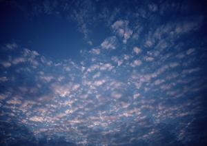 富士市原田で信頼の葬儀サービス【富士葬祭 富士原田】の特徴と詳細な情報